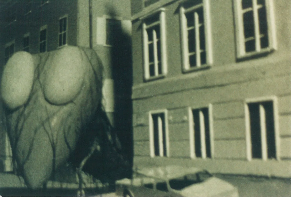 „Monster in Salzburg“, Standbild, 1982