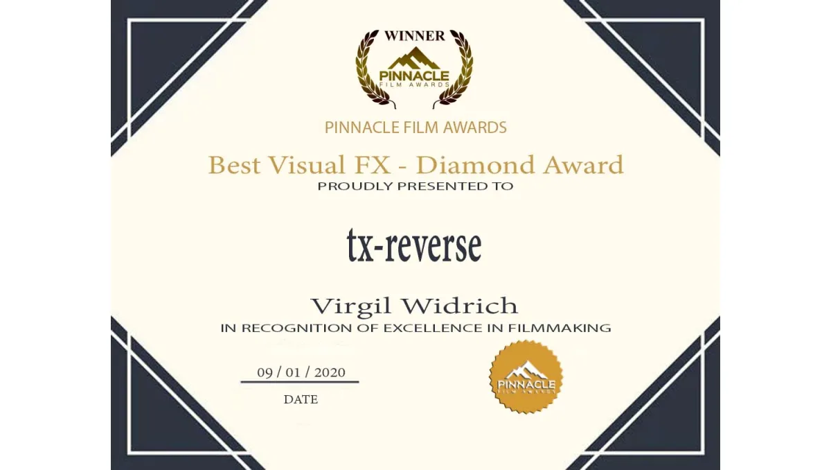 Pinnacle Film Awards – USA – Best visual fx ★