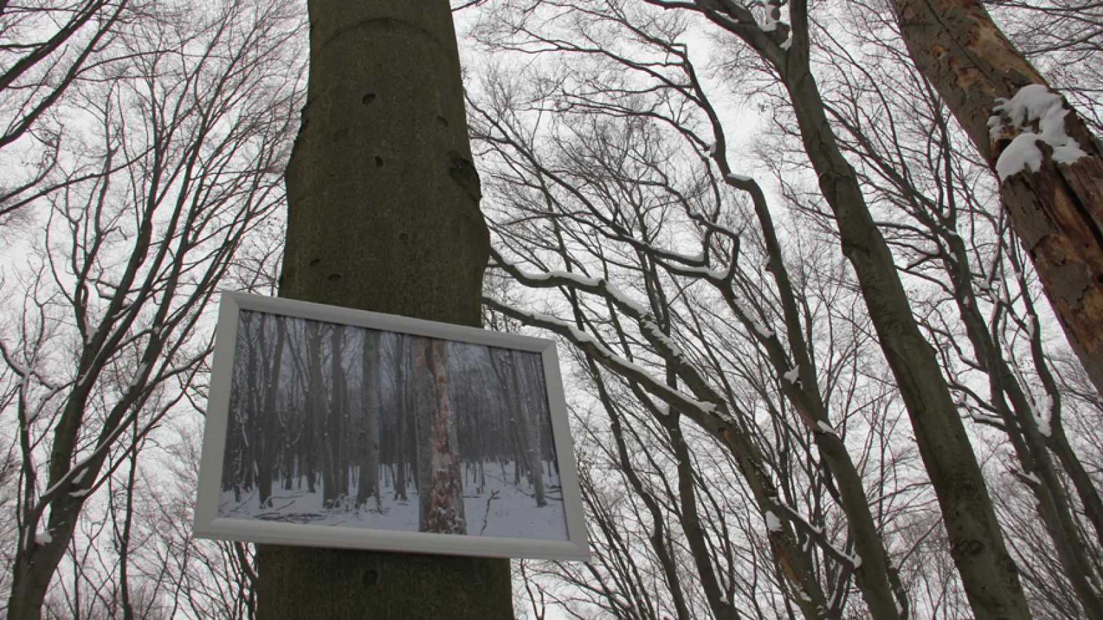 „14/16, on-site research“, Max Kropitz, Zahra Shahabi: „Where it came from“, photo: Moritz Resl
