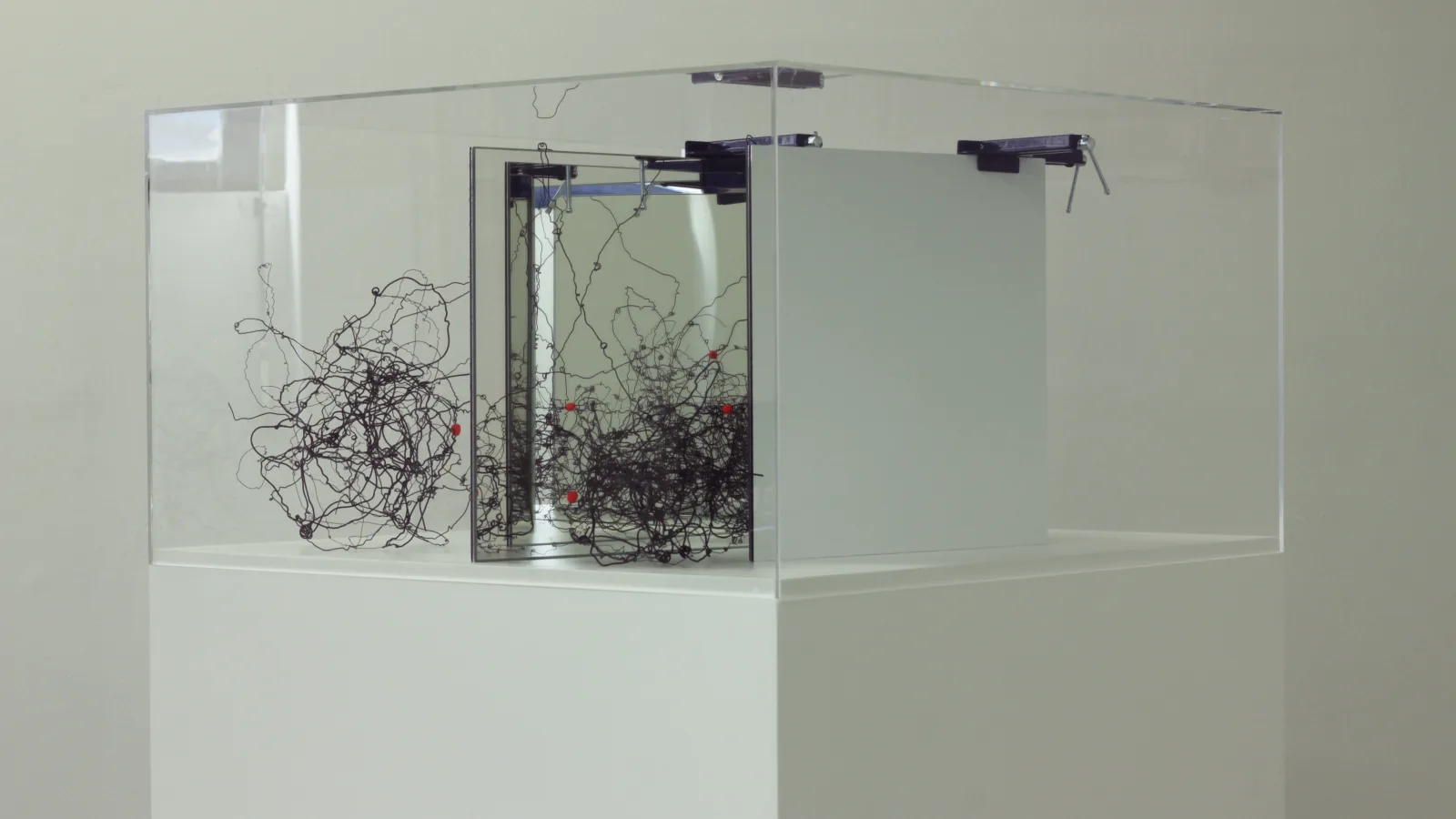 „Circuit Training“, „reality“ von Denise Schellmann, 2017, Foto: Virgil Widrich