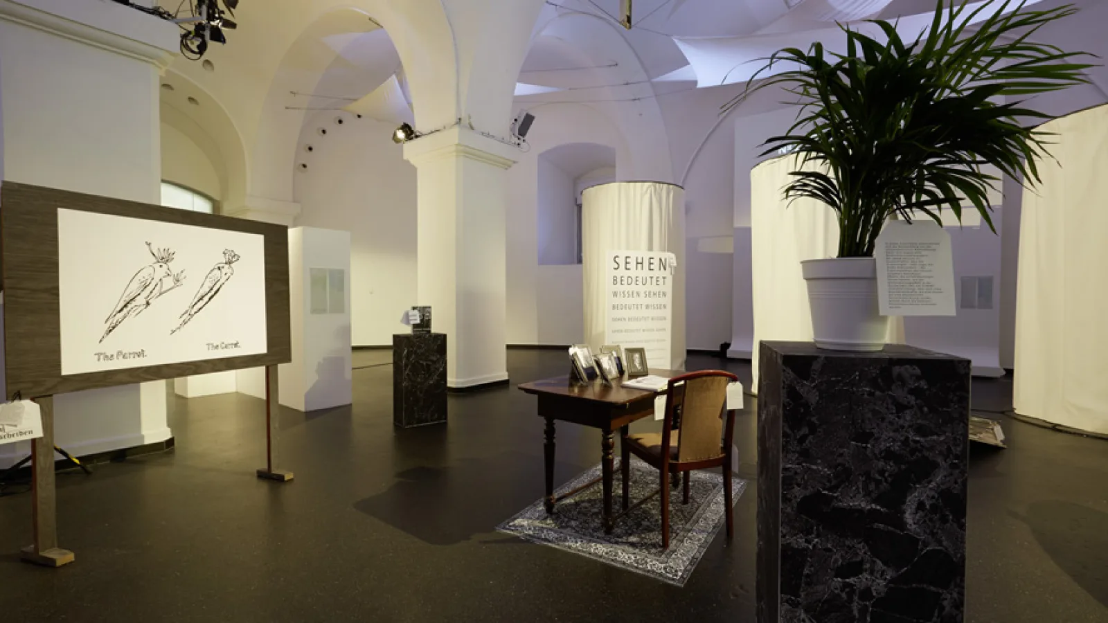 „Animation Suspended“ by Isidora Krstic, Al Teleki, „Crucial Experiments“, Vienna Art Week 2013