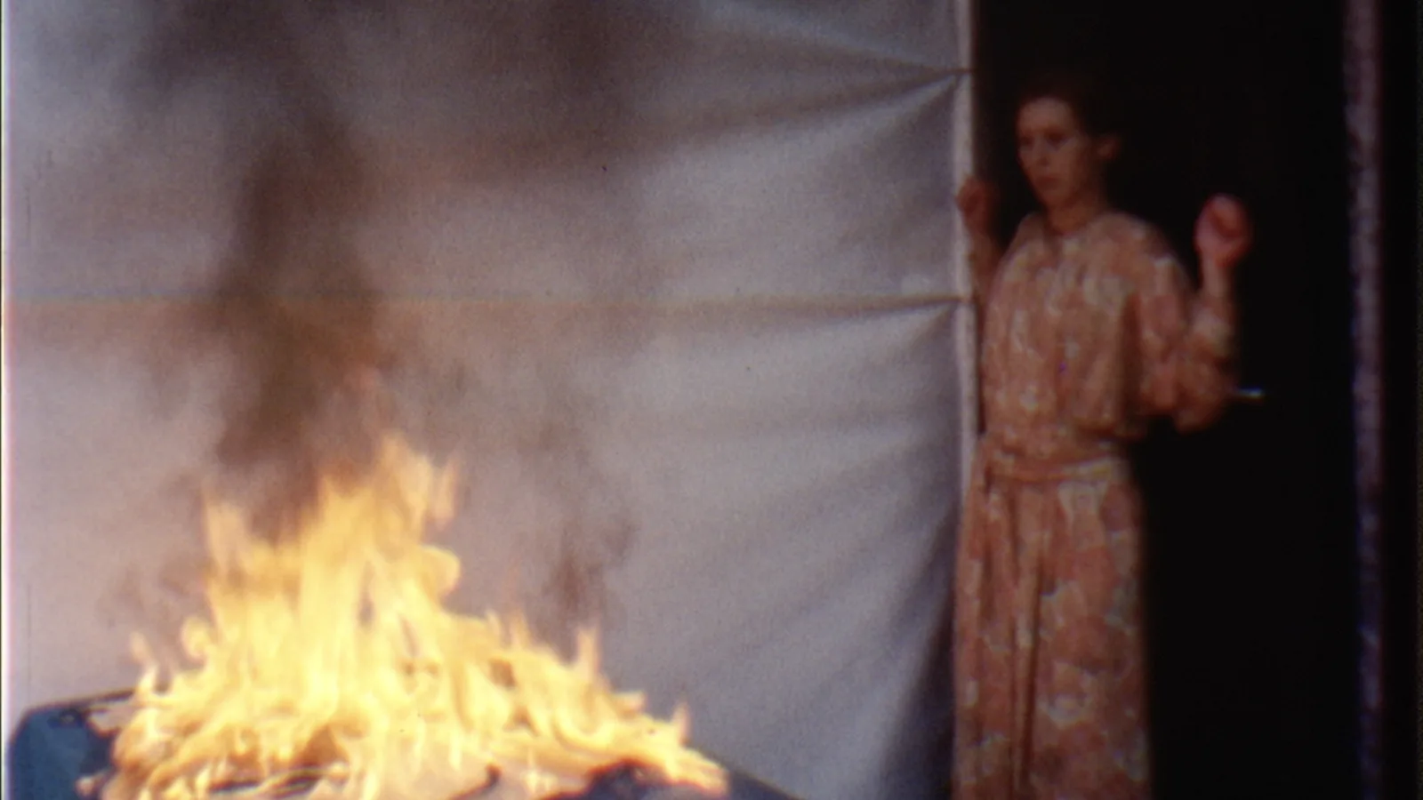 Einzelbild aus „Gebratenes Fleisch“, 1980