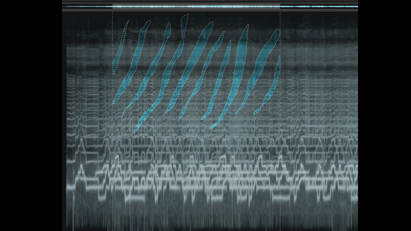 „Light Matter“: Screenshot von Siegfried Friedrich (Musik), 2018