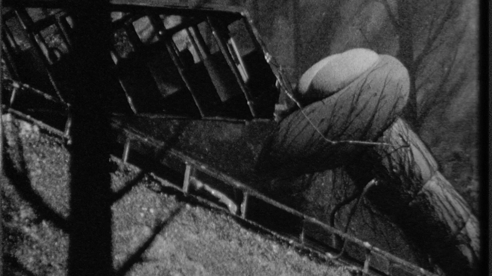 “Monster in Salzburg”, still, 1982