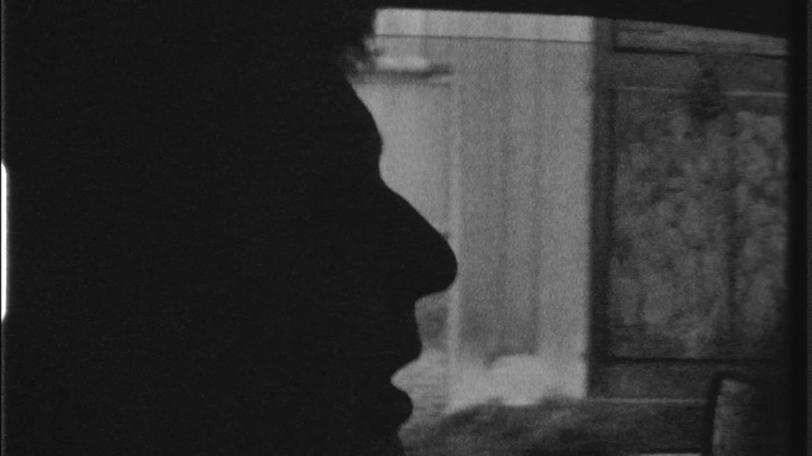 “Monster in Salzburg”, still, 1982