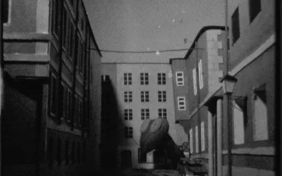 Monster in Salzburg