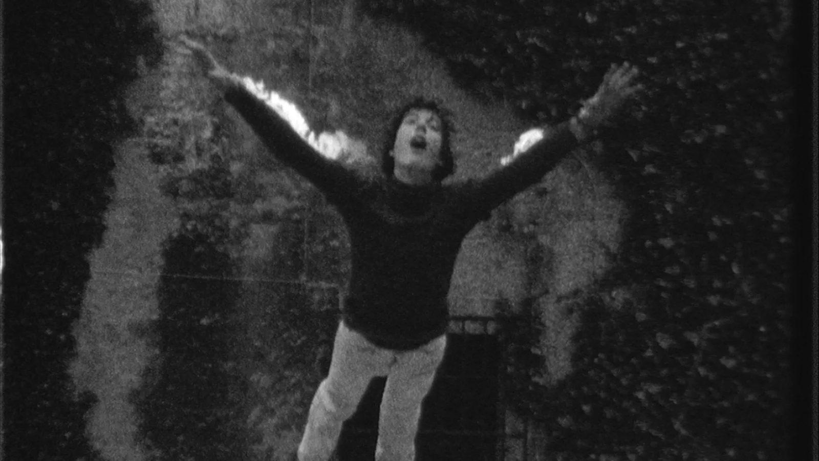 “Monster in Salzburg”, still, 1982