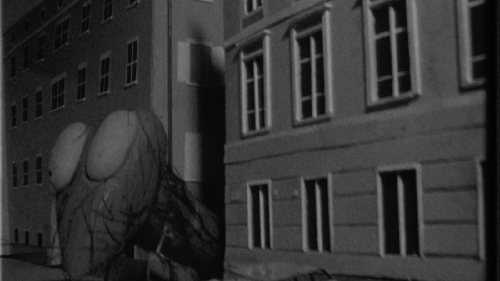 “Monster in Salzburg”, still, 1982