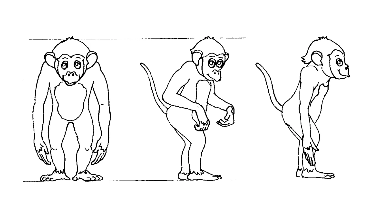 „Robbi – Abenteuer auf CD-ROM“, I-Motion Ges.m.b.H., Affe „turn around sheet“, 1996