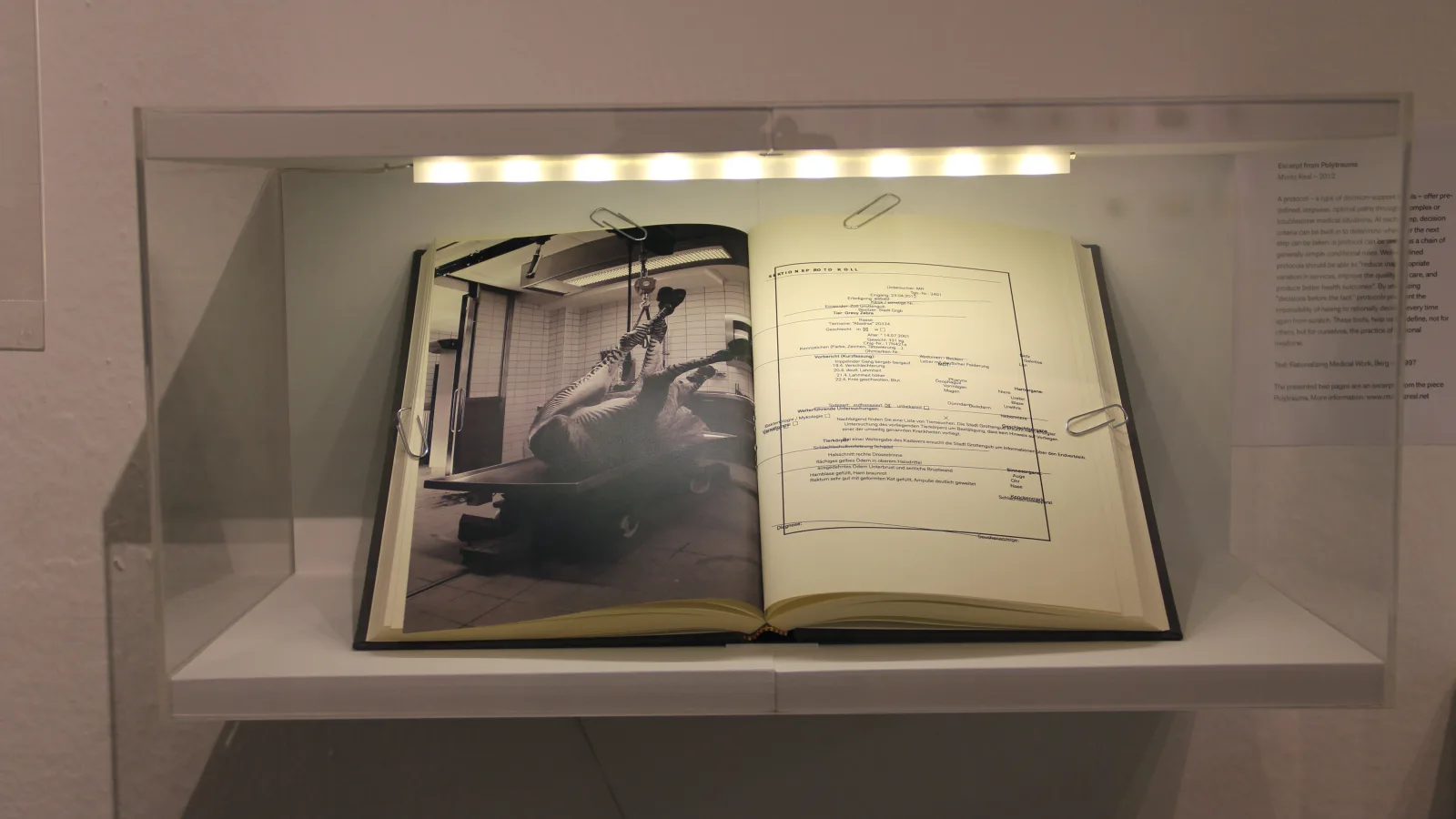 „Essence12“, Moritz Resl: „Excerpt from Polytrauma“, 2012