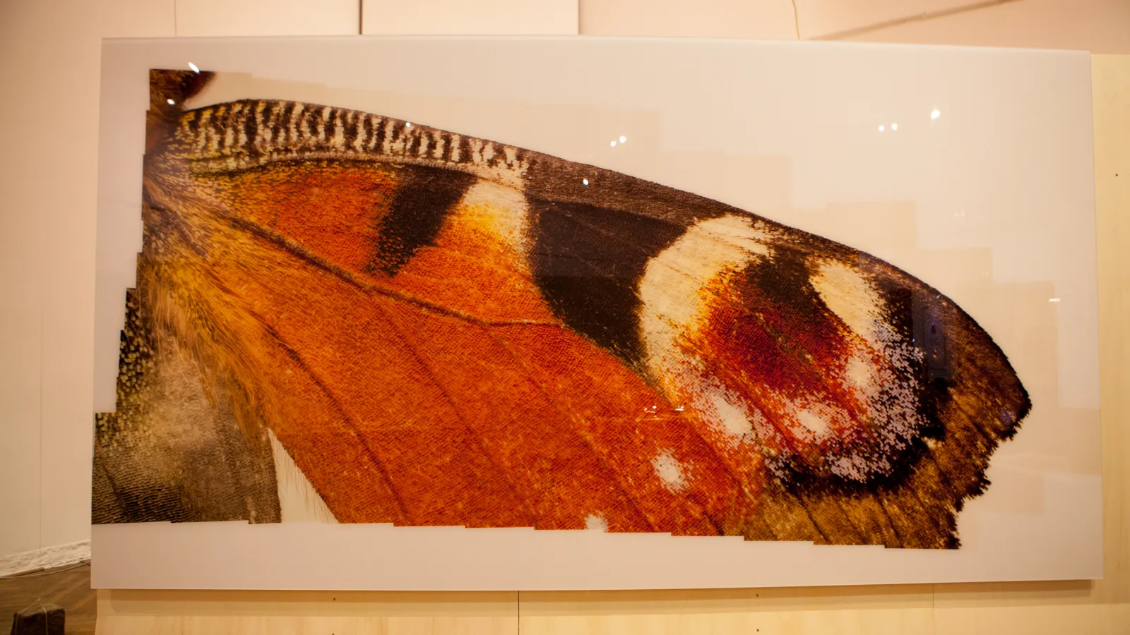 „Essence13“, Michael Bachhofer: „The Pattern which connects“, 2013. Foto: Iulian Moise