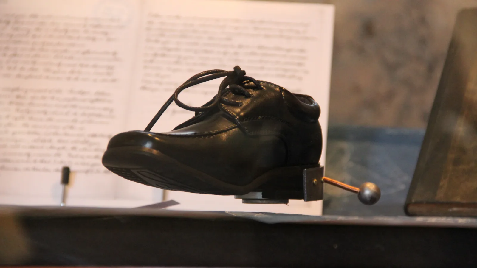 Michael Bachhofer: „Better small than tall - Dwarf elephants, Nikola Tesla and the rest of the world“, „Things that talk“, Naturhistorisches Museum Wien, 2011. Foto: Virgil Widrich