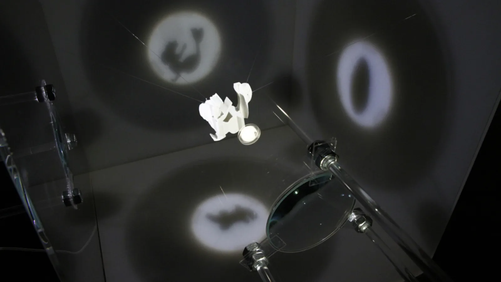 Sara Duit „Projections“, „Things that talk“, Naturhistorisches Museum Wien, 2011. Foto: Sabina Teichert